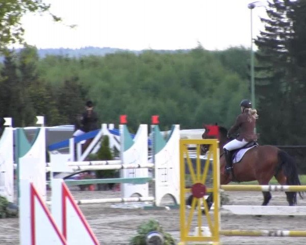 Dressur- und Springturnier Halver 2014