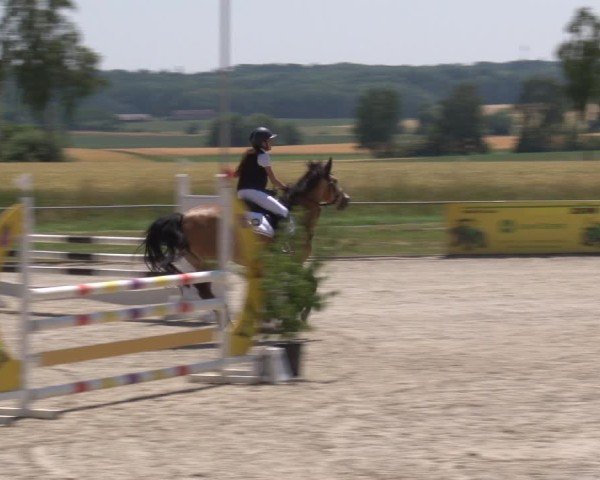 Reitturnier Rot am See- Musdorf 2025