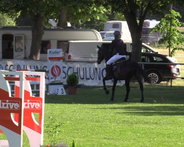Reitturnier Löbnitz 2025
