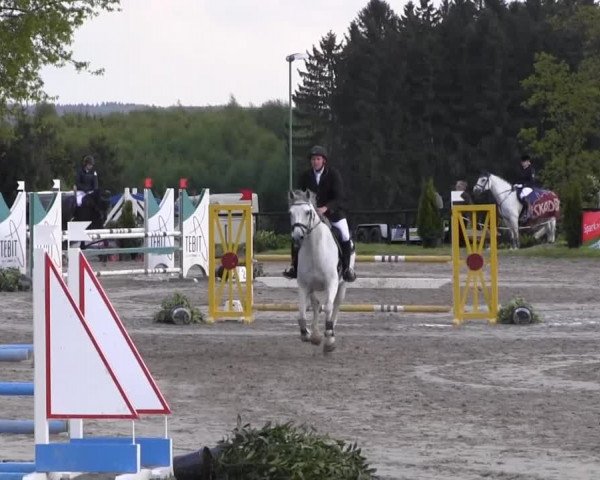 Dressur- und Springturnier Halver 2014