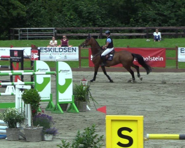 Reitturnier Breitenburg 2025
