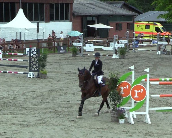 Reitturnier Breitenburg 2025