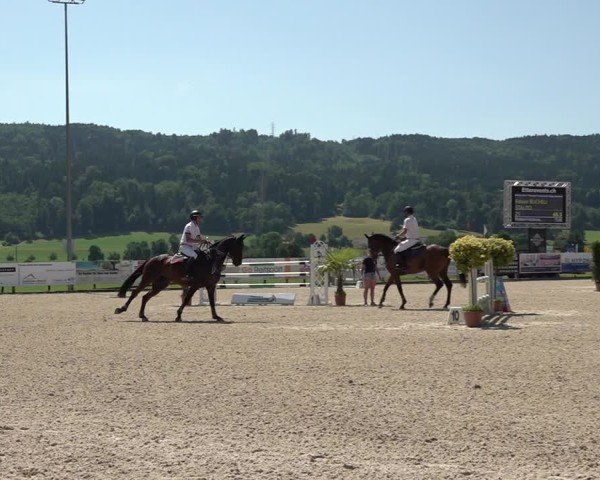 Reitturnier Hitzkirch 2025