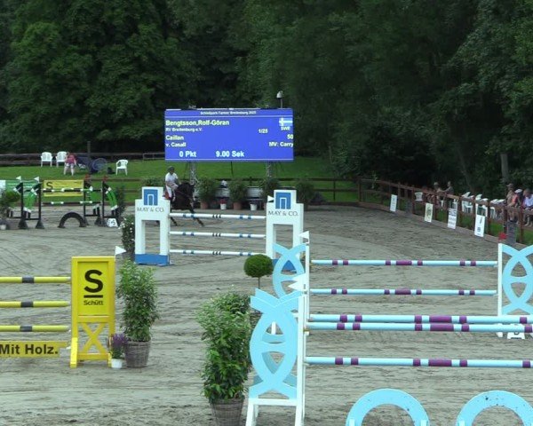 Reitturnier Breitenburg 2025