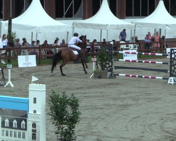 Reitturnier Breitenburg 2025