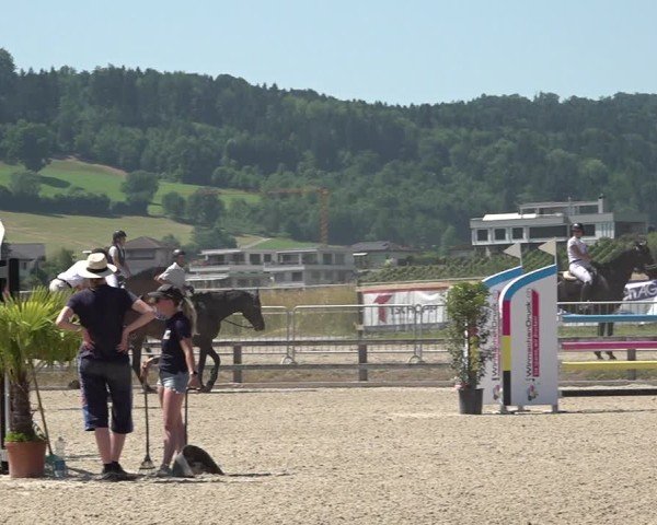Reitturnier Hitzkirch 2025
