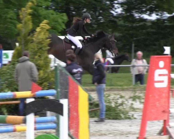 Coesfelder Reitertage 2014
