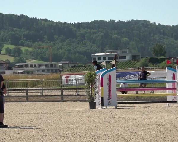 Reitturnier Hitzkirch 2025