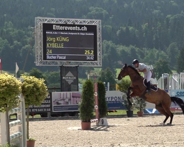 Reitturnier Hitzkirch 2025