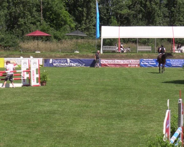 Reitturnier Löbnitz 2025