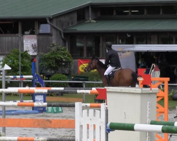 Coesfelder Reitertage 2014