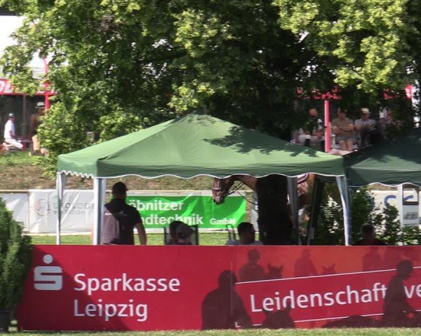 Reitturnier Löbnitz 2025