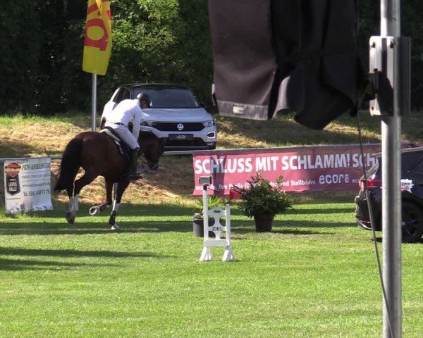 Reitturnier Löbnitz 2025