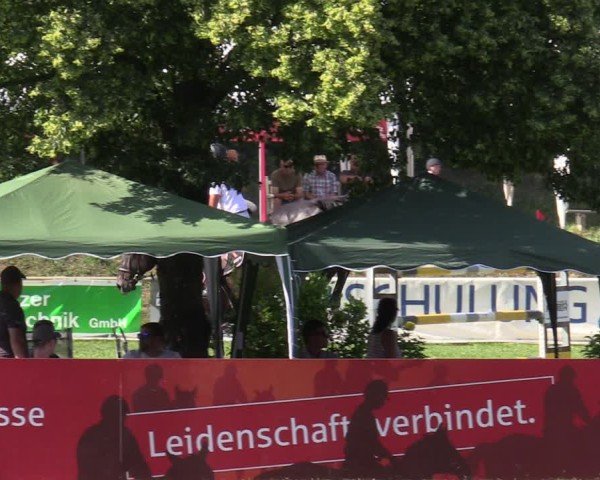 Reitturnier Löbnitz 2025