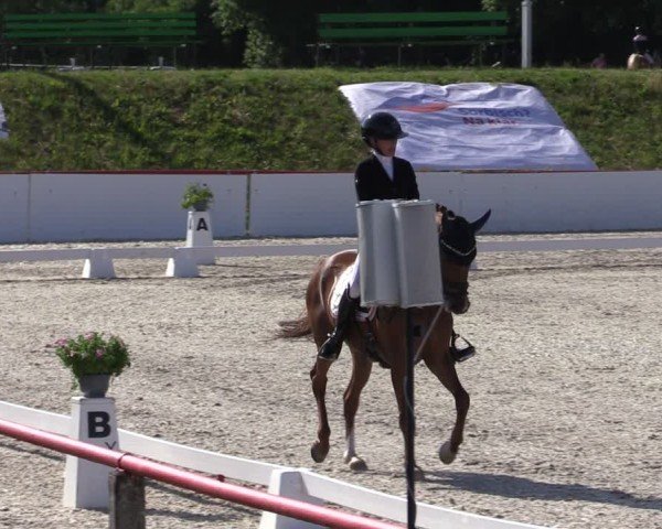 Reitturnier Holschdubrau 2025