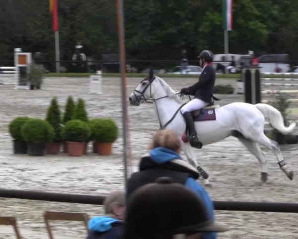Dressur- und Springturnier Halver 2014