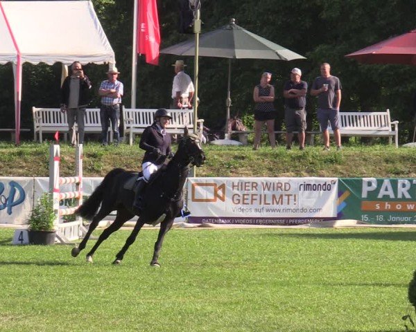 Reitturnier Löbnitz 2025