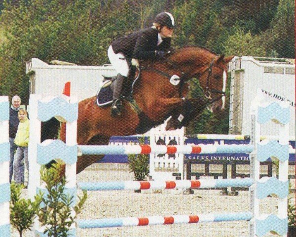 Pferd Follow Me (Deutsches Reitpferd, 2002, von Fighting Alpha)