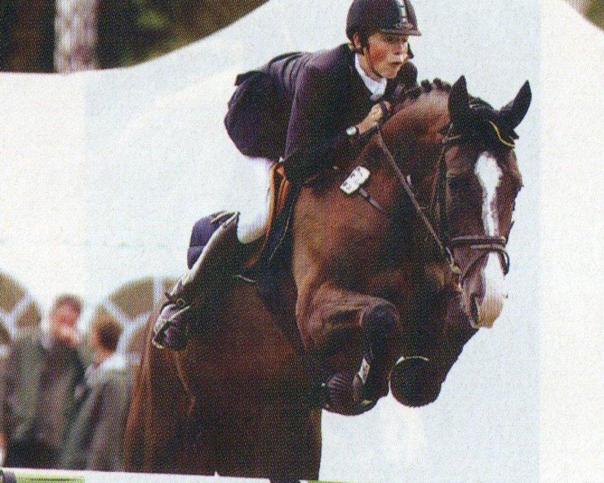 jumper Sir Henry 166 (Oldenburg, 1999, from Silvio I)