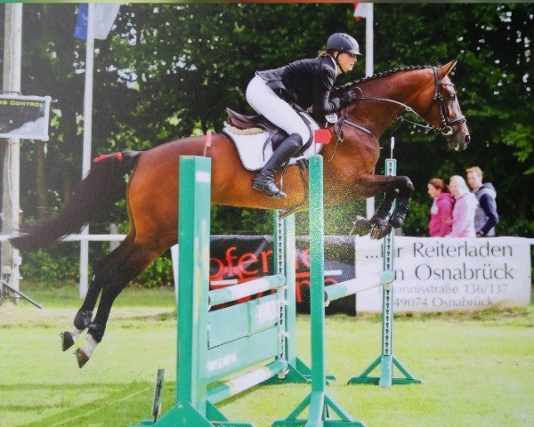 broodmare Dilanah (Westphalian, 2013, from Don Diarado)