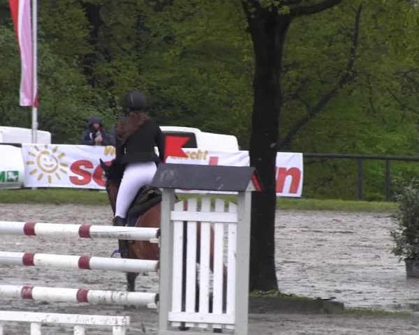 Dressur- und Springturnier Halver 2014