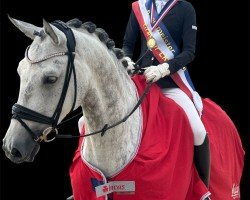 dressage horse Four Roses K (Hanoverian, 2017, from Fürstenball)
