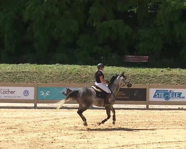 Reitturnier Tiefenhof/Opf. 2025