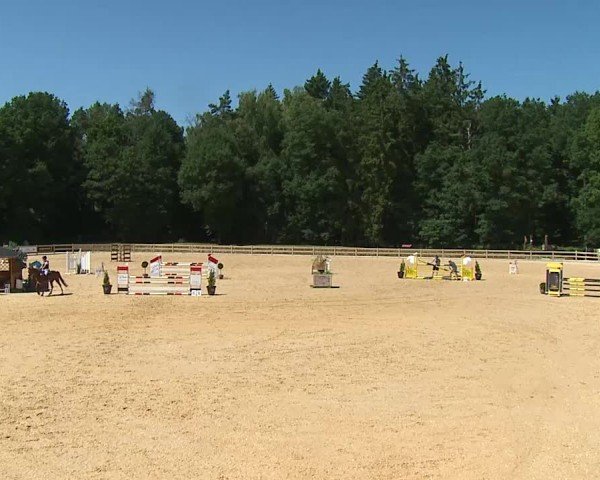 Reitturnier Tiefenhof/Opf. 2025
