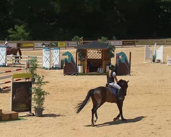 Reitturnier Tiefenhof/Opf. 2025