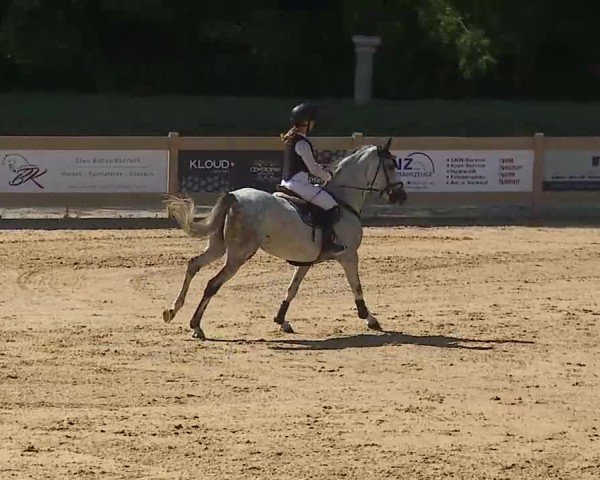 Reitturnier Tiefenhof/Opf. 2025