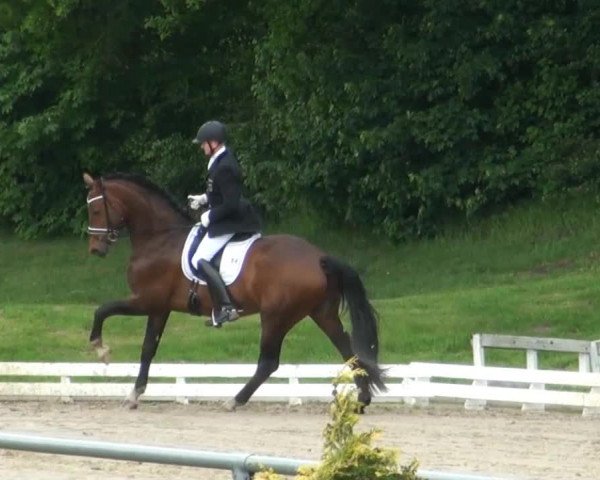 Coesfelder Reitertage 2014