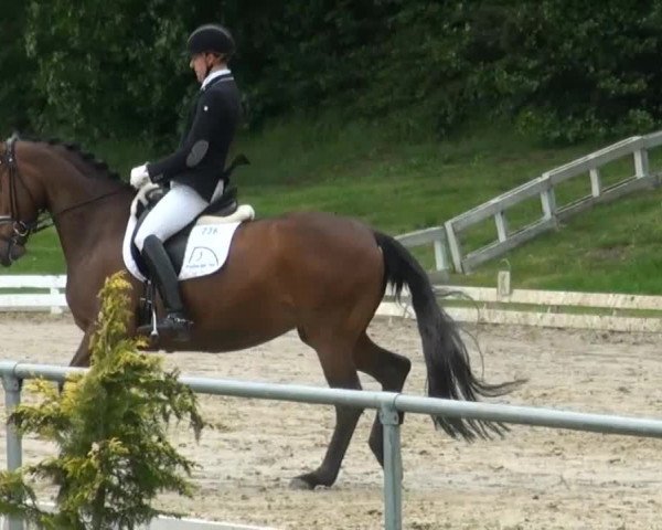 Coesfelder Reitertage 2014
