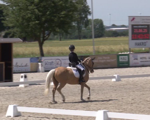 Reitturnier Rot am See- Musdorf 2025