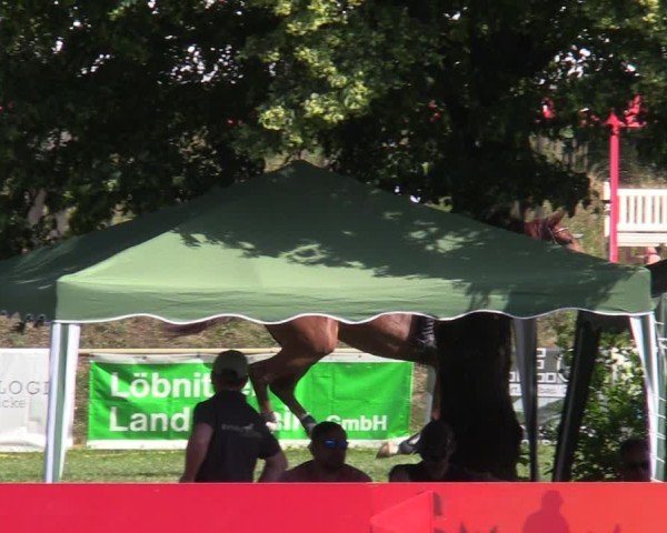 Reitturnier Löbnitz 2025