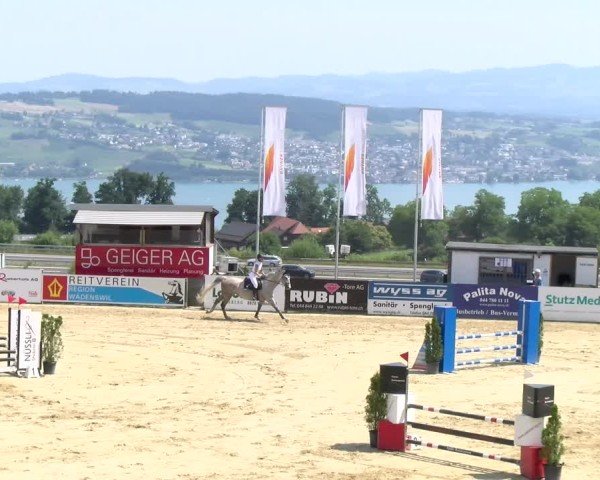 Reitturnier Wädenswil 2025