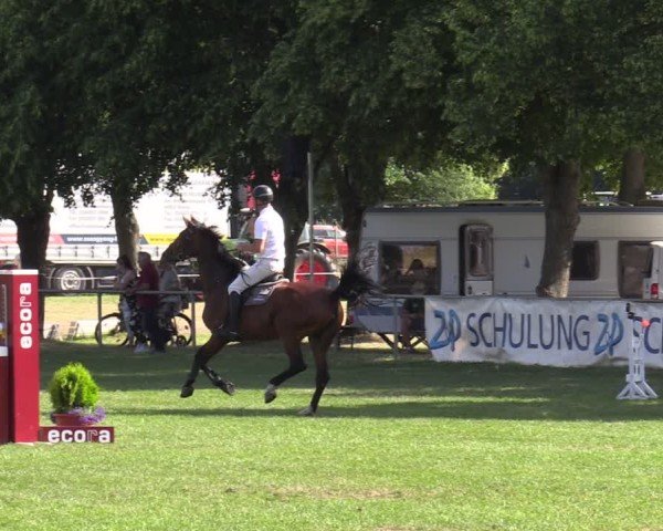 Reitturnier Löbnitz 2025