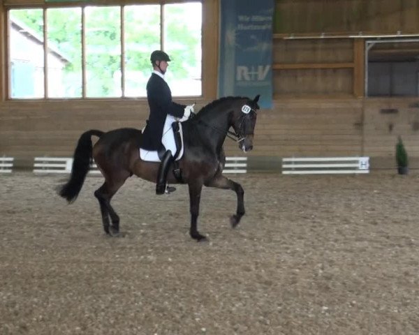 Coesfelder Reitertage 2014