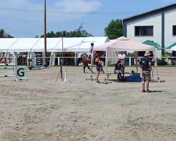 Video von Cauda
