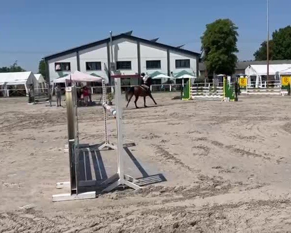Video von Cauda