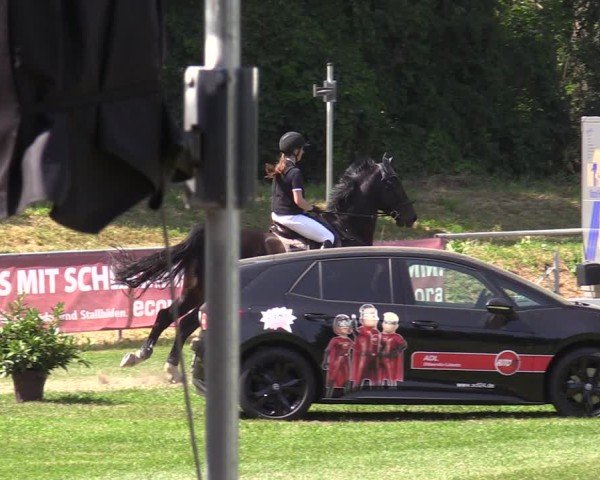 Reitturnier Löbnitz 2025