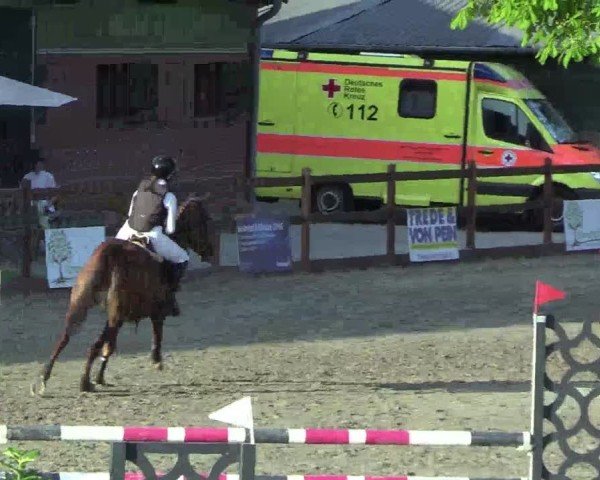 Reitturnier Breitenburg 2025
