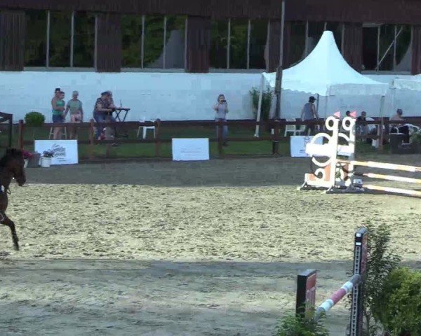 Reitturnier Breitenburg 2025
