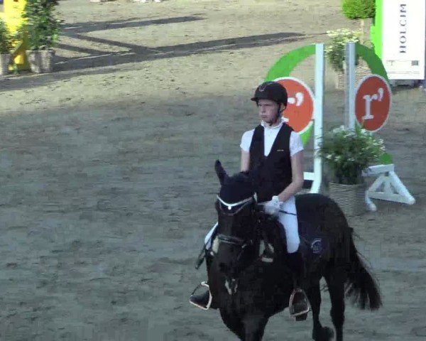 Reitturnier Breitenburg 2025