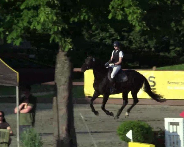 Reitturnier Breitenburg 2025