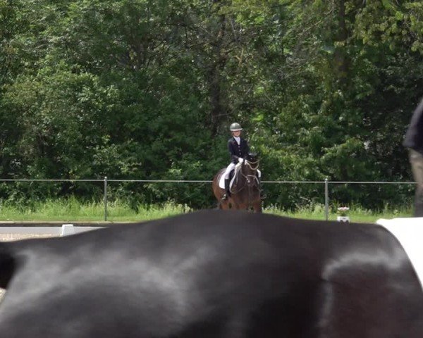 Reitturnier Maienfeld 2025