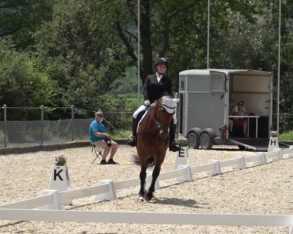 Reitturnier Maienfeld 2025