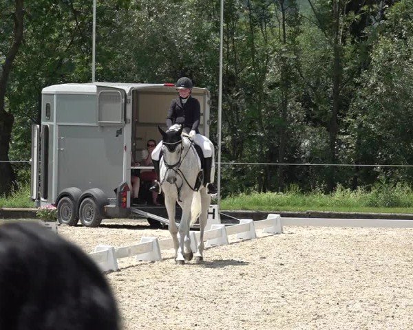 Reitturnier Maienfeld 2025