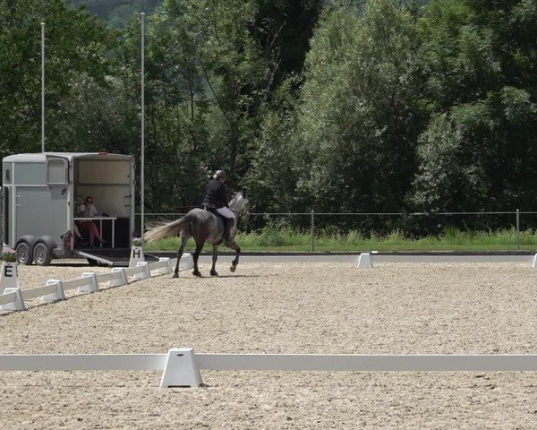 Reitturnier Maienfeld 2025