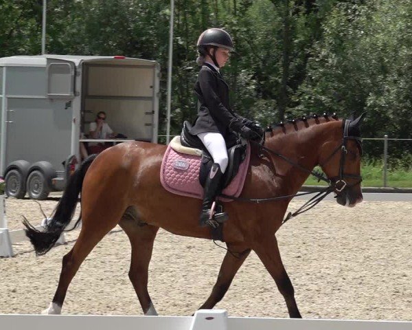 Reitturnier Maienfeld 2025