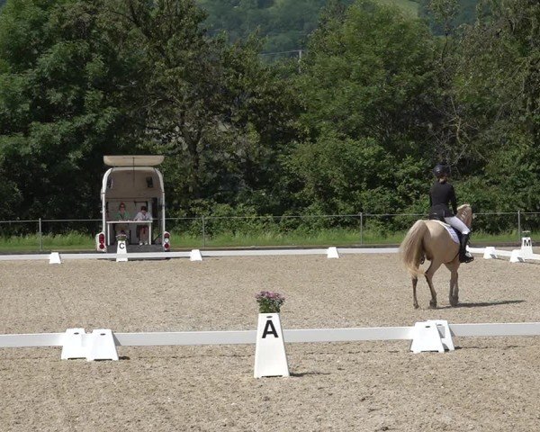 Reitturnier Maienfeld 2025